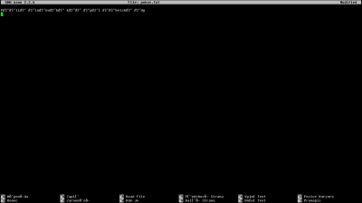 příliš žluťoučký kůň úpěl ďábelské ódy