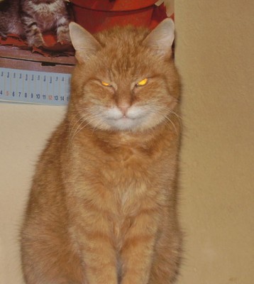 Ferda (10)-ořez_2.jpg