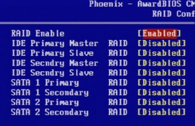 bios_raid.jpg