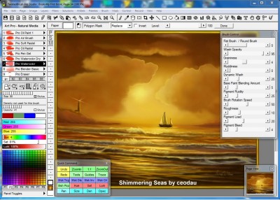 TwistedBrush_Pro_Studio_17.jpg