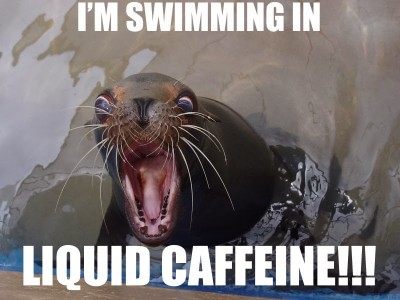 Swimming-in-Caffeine.jpg