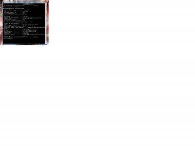 vyhledat automaticky