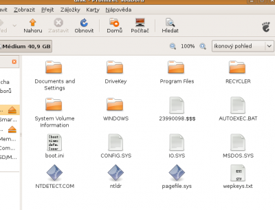 Snímek obrazovky.png
