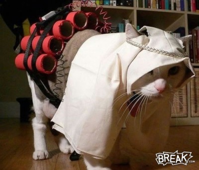 ťik-ťak,ťik-ťak......Mňaaau! xD