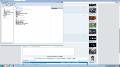 stažený soubor.png