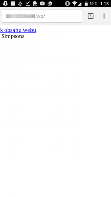 Ale když se připojím, třeba z mobilu, tak vypadá takhle, tak samo i z jiného PC, jakoby se nenačítali obrázky, zkrátka je něco špatně .. :/