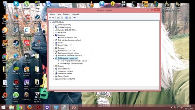 spravce.jpg (296.06 KiB) Zobrazeno 801 x Okéy