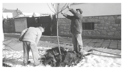 zobrazení v indesignu