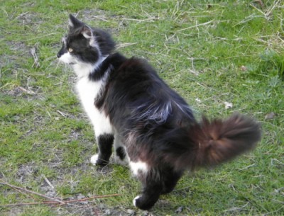 DSCF0358 (1.kopie).jpg