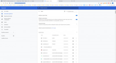 Nastavení – Hesla - Google Chrome 28.08.2020 15_10_42.jpg
