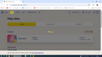 Snímek obrazovky (3).png